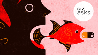 If You Eat an Animal That Ate Drugs, Will It Affect You?